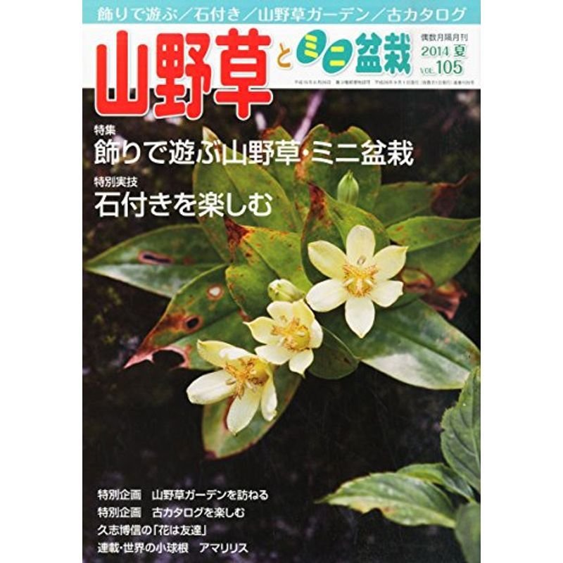 山野草とミニ盆栽 2014年 09月号 雑誌