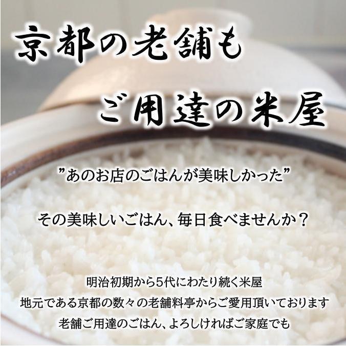 新米 お米 10kg 京式部 玄米 5kg×2袋 京料理人ご用達 令和4年産 新品種 精米無料 白米 5分付き 7分づき 熨斗無料 ギフト 紙袋 嬉しいプレゼント付き 送料無料