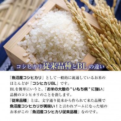 ふるさと納税 南魚沼市  南魚沼産 コシヒカリ 塩沢地区のお米 精米 5kg×2袋 (美味しい炊き方ガイド付き)