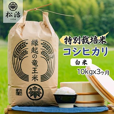 ふるさと納税 竜王町 特別栽培米コシヒカリ 白米10kgx3ヶ月 縁起の竜王米全3回