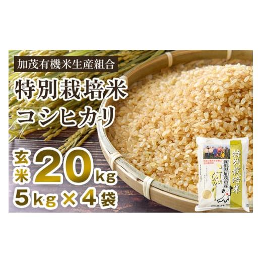 ふるさと納税 新潟県 加茂市 新潟県加茂市産 特別栽培米コシヒカリ 玄米20kg（5kg×4）従来品種コシヒカリ 加茂有機米生産組合