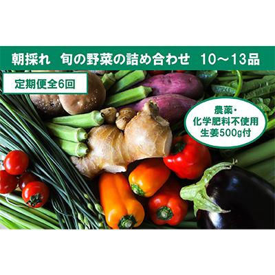 ふるさと納税 香美市 旬の野菜と栽培期間中農薬不使用の生姜付き全6回