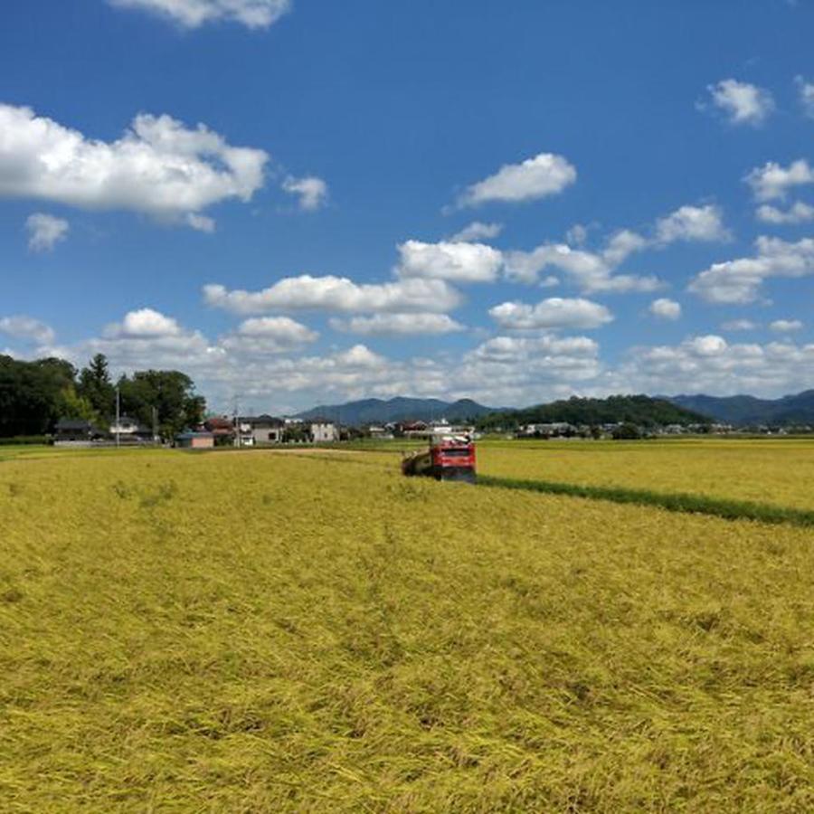 あきだわら２Kg 兵庫県丹波篠山産 丹波たぶち農場（令和５年産）