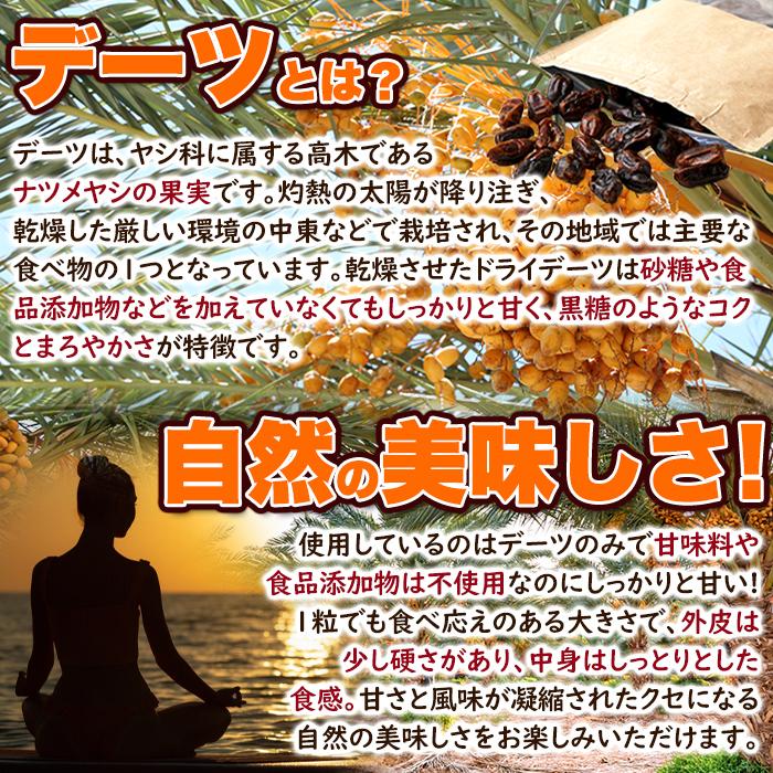 ドライデーツ500g 濃厚な自然の甘さ 大容量 ドライフルーツ お試し 送料込み(送料無料)(発送遅いです) TEN