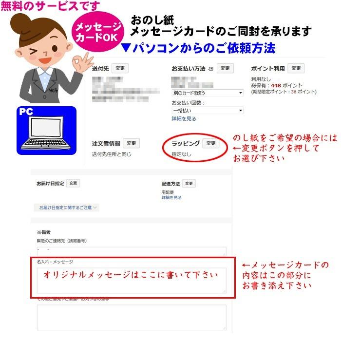 国産とらふぐ刺身セット3〜4人前　30cmプラ皿　送料無料　お歳暮ギフト人気商品