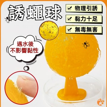 🟠誘蠅球🟠果蠅球 果蠅誘捕球 果蠅黏蟲球 黏果實蠅球 黏蒼蠅球 超黏捕蠅球 誘蟲球 黏蟲板 果蠅誘捕 捕蠅器 黏蟲板