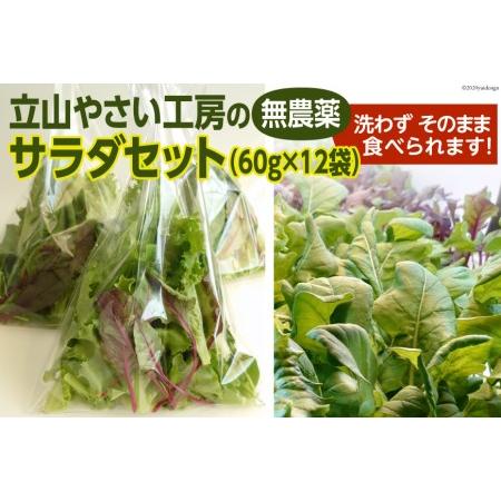 ふるさと納税 立山やさい工房のサラダセット（60g×12袋）＜ホッコ―商事＞ 富山県立山町