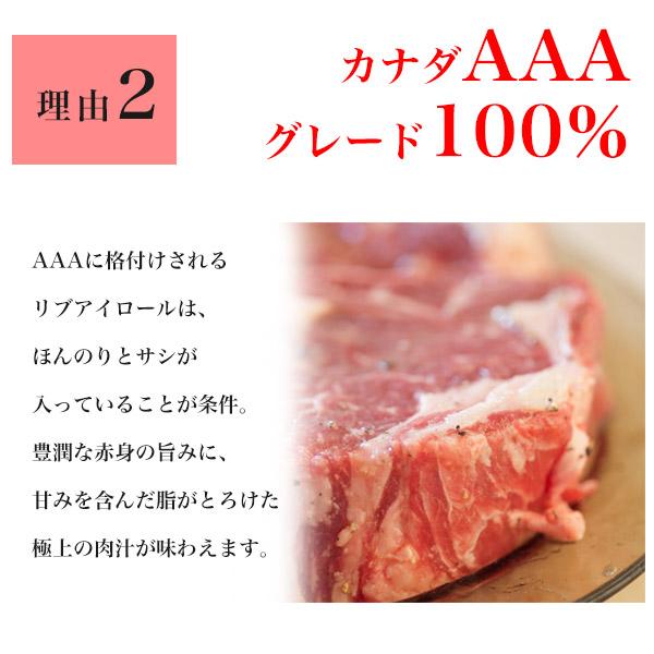 肉 牛肉 ステーキ肉 赤身 ギフト ステーキ 1ポンドステーキ バーベキュー 熟成肉 焼肉 熟成＆極厚1ポンドステーキ 450g 夏ギフト 福袋 中元 帰省 土産