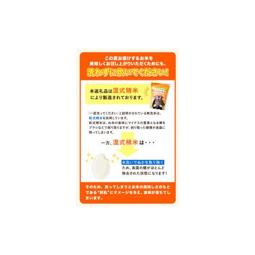 ふるさと納税 熊本県 御船町 研がずに炊ける！ ひのひかり 無洗米 10kg 2kg×5袋 計3回お届け 鮮度保持パック詰め合わせ くまモン袋…