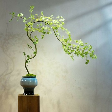 仿真植物 綠植造景 仿真綠植 免運 開立發票 流泉楓仿真綠植假花高級古風新中式茶室裝飾禪意玄關擺件小型盆景