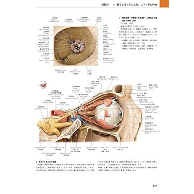 プロメテウス解剖学アトラス 頭頸部 神経解剖 第3版