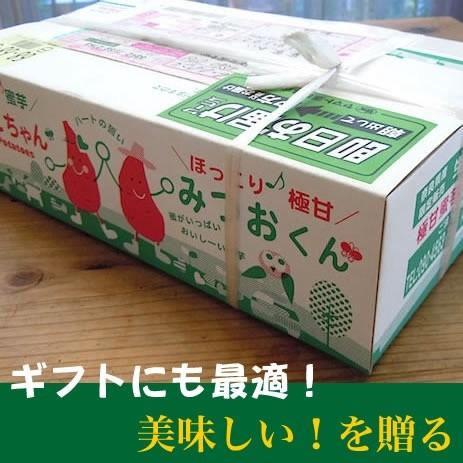 さつまいもおやつサイズ 約２kg  無農薬・無化学肥料栽培 　極甘蜜芋 　送料無料