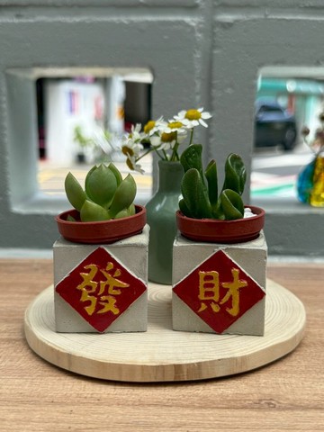 送包裝 交換禮物 發財組 磁鐵盆栽 送多肉