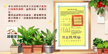 奇摩購物中心首頁版面圖