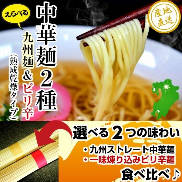 ポイント消化　500円　九州焼きそば　ソース味＆旨しお味　Ｗダブルスープ　2人前　極上ソース　魚介旨味　食べ比べ　メール便商品　お試しグルメギフト