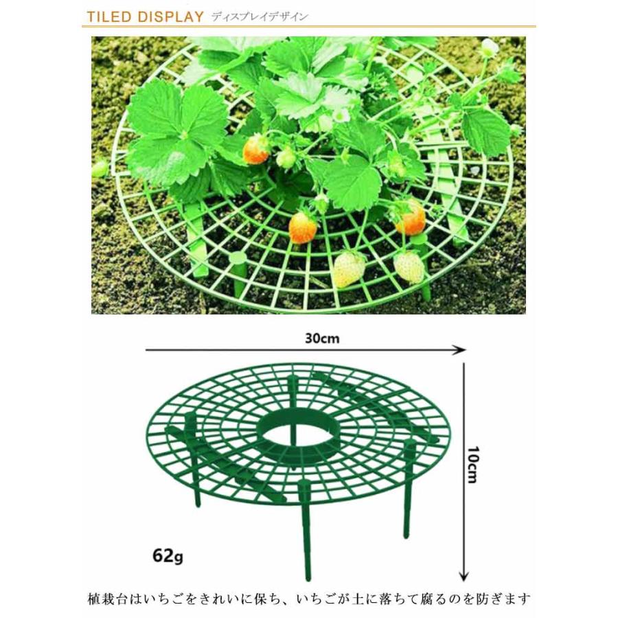 イチゴ棚 イチゴ プランター 棚 セット 高さ10cm 苗棚 苺苗棚 栽培棚 支え棚 園芸支柱 いちご プランター棚 いちご支