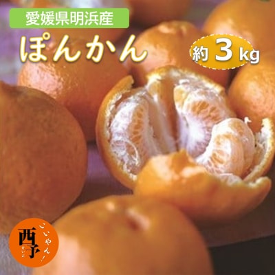 愛媛県明浜産　ぽんかん(3kg)