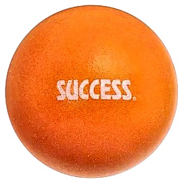 SUCCESS 成功 高彈靜音球 - 7吋 約18cm 玩具  橘色  1顆