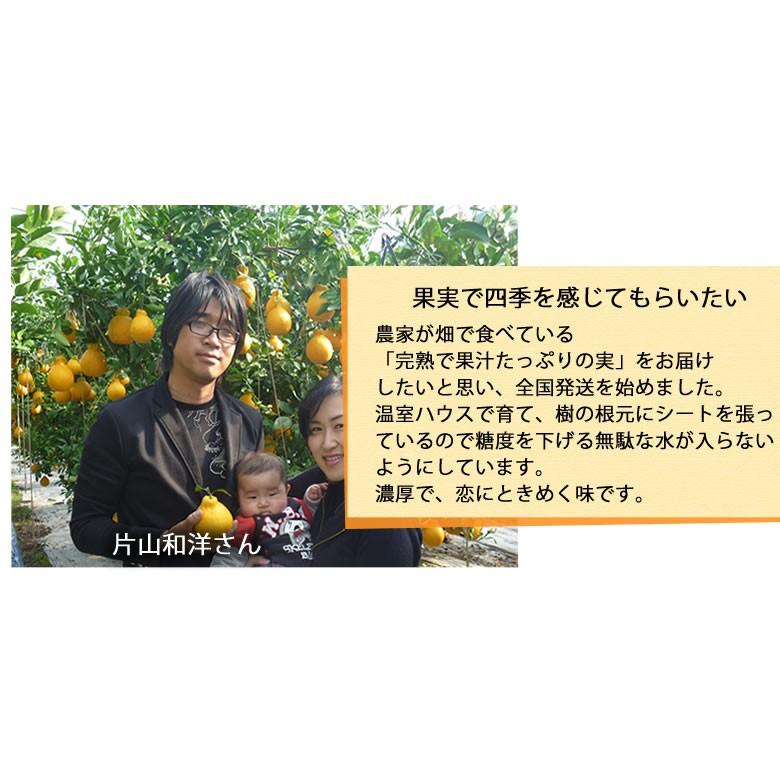 デコポン 同品種 デコみかん 訳あり 送料無料 ハウス栽培 1.5kg 2セット購入で1セットおまけ 3セット購入で3セットおまけ みかん 熊本県産 不知火 ミカン 蜜柑