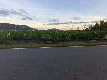 阿蓮崙子頂段️大岡山風景區休閒農地｜高雄市阿蓮區崙子頂段