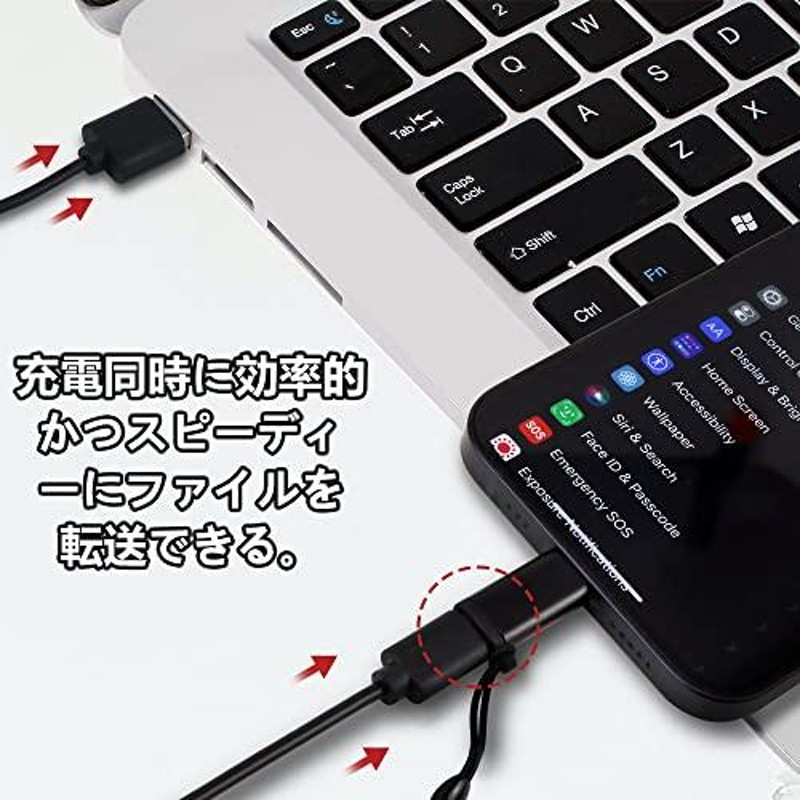 タイプCからIOS変換コネクタ充電 データ伝送 ミニサイズ2個セット