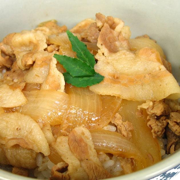 冷凍惣菜　時短ごはん　房総もち豚 豚丼　160g（1人前） 10パック 送料込