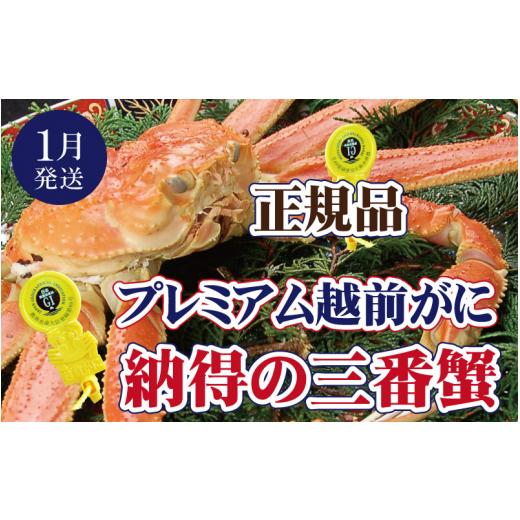 ふるさと納税 福井県 越前町 越前がに本場の越前町からお届け！ 越前がに × 1杯（三番蟹）納得のプレミアム越前がに【福井県 越前町 雄 ズワ…