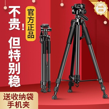 【一桿多用】三腳架 手機支架 相機三腳架 攝影支架 直播支架 釣魚燈支架 望遠鏡支架 萬向雲臺 便攜伸縮 戶外旅行攝影必備