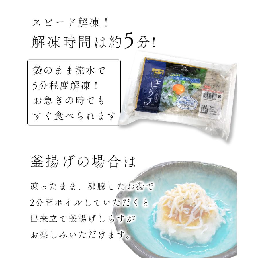 瀬戸内海産 生しらす 刺身用 100g 2パック セット しらす丼 海鮮丼 ギフト お寿司 おつまみ 小魚