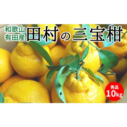 ふるさと納税 和歌山県 湯浅町 U6237n_田村の三宝柑（葉付き）秀品 約10kg 和歌山県有田産