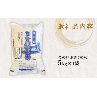 ふるさと納税 石巻市 令和5年産 金のいぶき (玄米)5kg