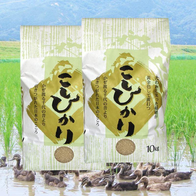 お取り寄せグルメ農薬無使用米コシヒカリ 玄米 20kg(10kg×2袋)アイガモ農法で育てた安心・安全の新潟米