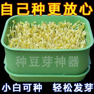 臺灣🚍8H出🉑髮豆芽神器超大工具神器髮芽盆食品級生綠豆芽豆芽盆大號種植盒
