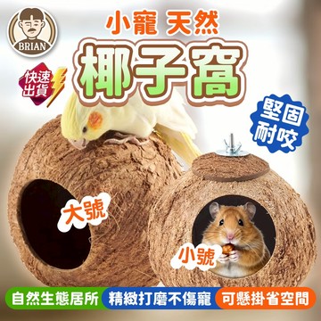小寵椰子窩【布萊恩👨🏻隔日到貨】鸚鵡睡窩 鳥窩 鼠窩 天然椰殼窩 躲藏屋 椰子窩 鸚鵡用品 倉鼠用品 可懸掛窩
