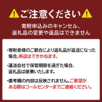 北海道産 新巻鮭 切り身 3kg 塩鮭 冷凍 鮭 しゃけ おかず お弁当 魚 海鮮 〈斉藤水産〉