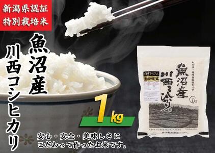 魚沼産川西こしひかり1kg　新潟県認証特別栽培米　令和５年度米