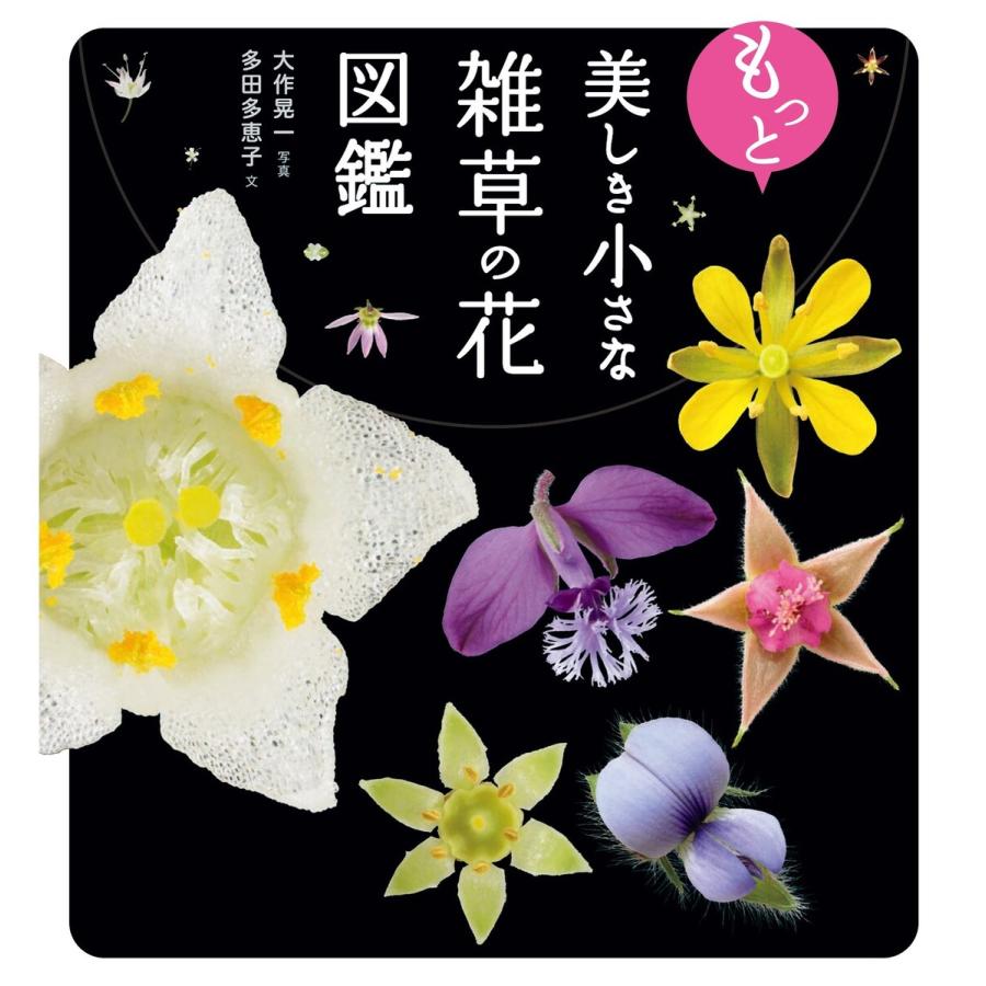 もっと美しき小さな雑草の花図鑑 電子書籍版   写真:大作晃一 著:多田多恵子