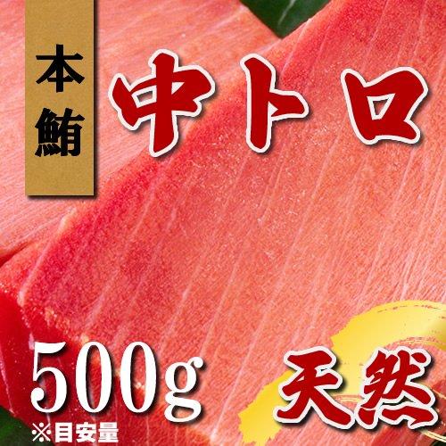 天然本マグロ 中トロ 約500g