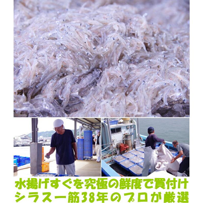 しらす 釜揚げ お中元 ギフト 贈答用 和歌山 辰ヶ浜 魚源水産 天然塩使用 未冷凍 500g 無添加 1級品 究極の鮮度