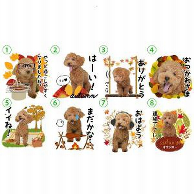 うちの子lineスタンプ オータムセット2 写真でつくるオリジナルlineスタンプ 犬用 通販 Lineポイント最大7 0 Get Line ショッピング