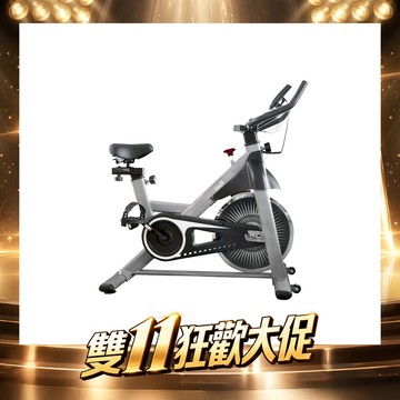 輕量有氧飛輪健身車