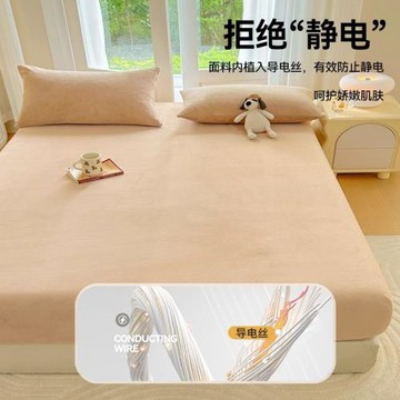 牛奶絨床笠單件秋冬季加絨珊瑚絨床套床罩2026新款床墊套四季通用
