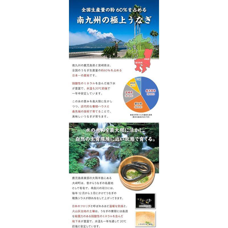 国産 うなぎ 蒲焼き 約250g前後×2尾入り化粧箱、食べ方説明書、タレ＆山椒付き うなぎ ウナギ 鰻