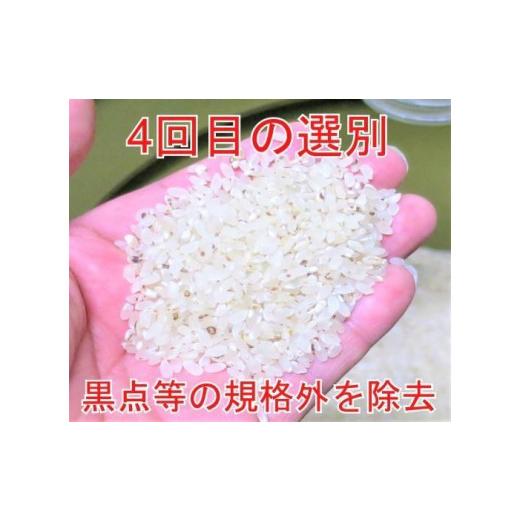 ふるさと納税 秋田県 大仙市 15kg（5kg×3）大手有名百貨店出荷米 あきたこまち 令和5年産米