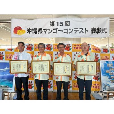 ふるさと納税 豊見城市 アーウィンマンゴー約2kg(白箱)ご家庭用