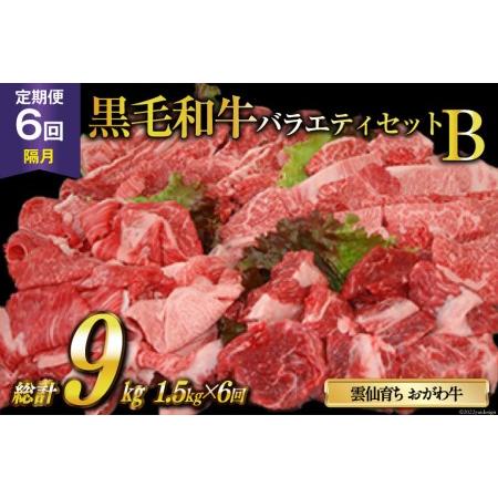 ふるさと納税 定期便 6回 牛肉 雲仙育ち おがわ牛 バラエティーセットB 総計9kg(1.5kg×6回) 黒毛和牛 冷凍   焼肉おがわ   長崎県 雲仙市 長崎県雲仙市