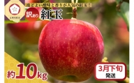  りんご 10kg 紅玉 アップルパイ に最適 青森 不揃い