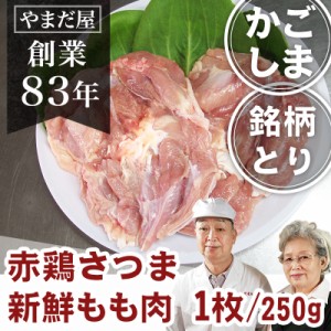鹿児島県産 銘柄鶏 赤鶏さつま もも身 約250ｇ 1枚 九州産 地鶏 国産 鶏肉 地どり とり肉 モモ肉 もも肉 照り焼き チキンソテー