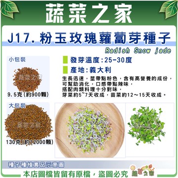【蔬菜之家】J17.粉玉玫瑰蘿蔔芽種子(共兩種包裝可選) 產地義大利 芽菜種子 芽苗種子 菜苗種子 生長迅速 高營養