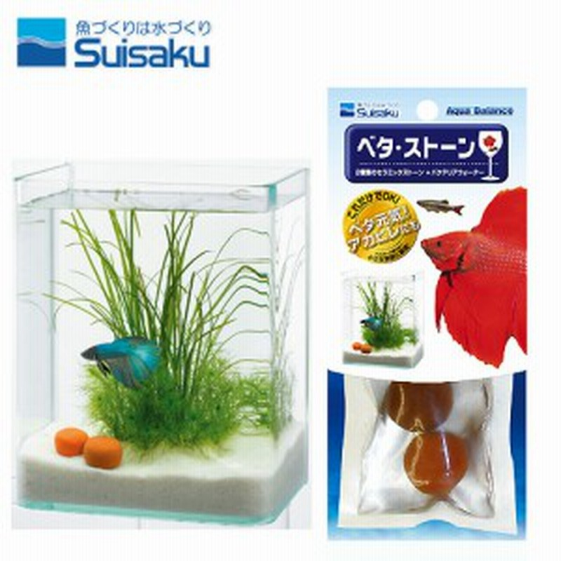 水作 ベタストーン 水槽 熱帯魚 観賞魚 飼育 生体 通販 販売 アクアリウム あくありうむ 通販 Lineポイント最大1 0 Get Lineショッピング